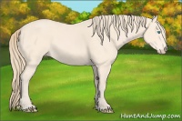 Horse Color:Perlino Sabino