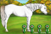 Horse Color:Gray White Spotted Chestnut 