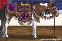 Horse Color:Brown Splash Tobiano Frame 