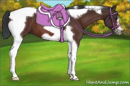 Horse Color:Brown Tobiano Frame 