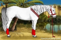 Horse Color:Gray White Spotted Black 