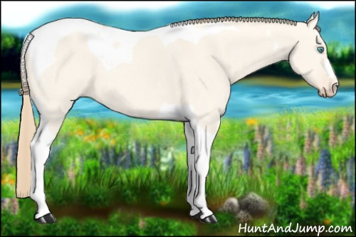 Horse Color: Perlino Dun Tobiano 