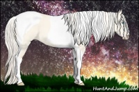 Horse Color:Cremello Dun Tobiano