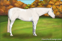 Horse Color:Smoky Creme Dun Tobiano 