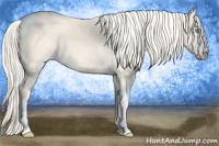Horse Color:Cremello Dun Tobiano