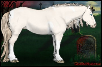 Horse Color:Perlino Dun Tobiano