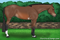 Horse Color:Bay Tobiano 