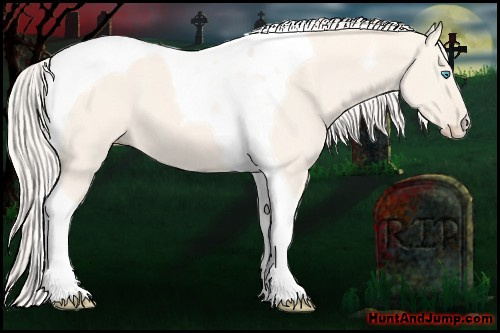 Horse Color: Cremello Dun Tobiano 
