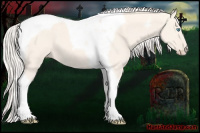 Horse Color:Cremello Dun Tobiano 