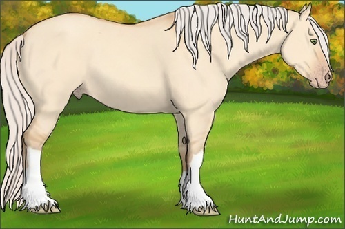 Horse Color:Silver Amber Champagne Dun 