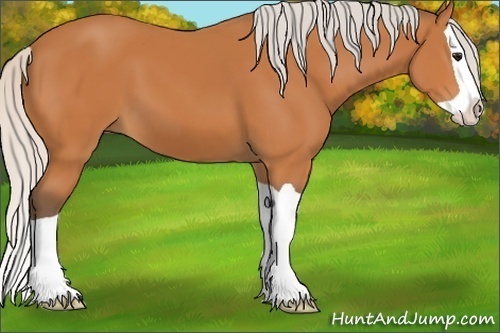 Horse Color:Silver Bay Splash 