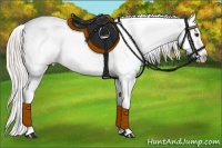 Horse Color:Silver Bay Near Leopard 