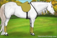 Horse Color:White Spotted Chocolate Palomino Appaloosa
