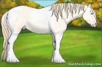 Horse Color:Perlino Dun Tobiano 