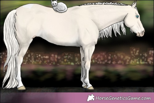 Horse Color:Cremello Dun Tobiano 