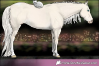 Horse Color:Cremello Dun Tobiano 