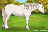 Horse Color:Perlino Dun Tobiano 