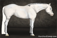 Horse Color:Cremello Dun Tobiano