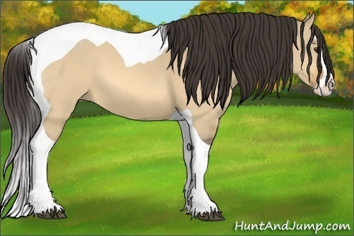 Horse Color:Buckskin Dun Splash Tobiano 