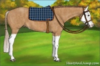Horse Color:Chestnut Splash  Brindle