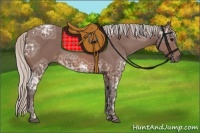 Horse Color:Silver Brown Ice