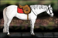 Horse Color:Gray Silver Bay Ice Dun 