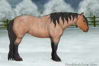 Horse Color:Bay Roan Rabicano 
