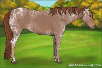 Horse Color:Chestnut Ice 