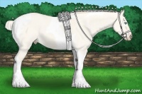 Horse Color:Cremello Dun Tobiano 