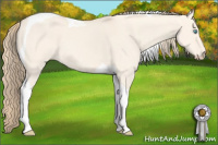 Horse Color:Perlino Dun Tobiano 
