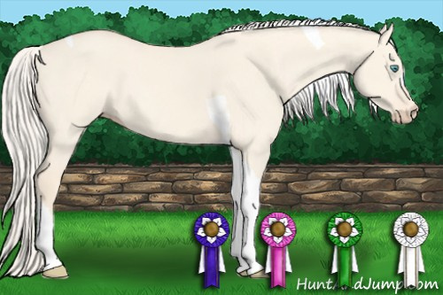 Horse Color: Cremello Dun Tobiano 