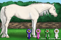 Horse Color:Cremello Dun Tobiano 