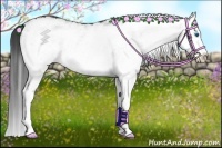 Horse Color:White Spotted Blue Roan Splash 