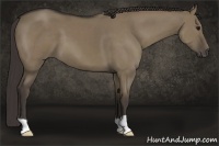 Horse Color:Smoky Grullo 