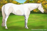 Horse Color:Smoky Creme Dun Tobiano 