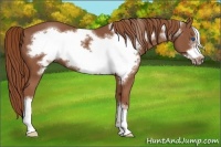 Horse Color:Chestnut Frame 