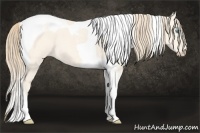 Horse Color:Perlino Dun Tobiano 