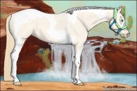Horse Color:Perlino Dun Tobiano 