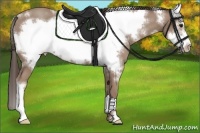 Horse Color:White Spotted Classic Champagne Frame