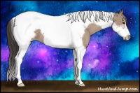 Horse Color:Classic Champagne Roan Tobiano Frame 