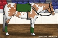 Horse Color:White Spotted Bay