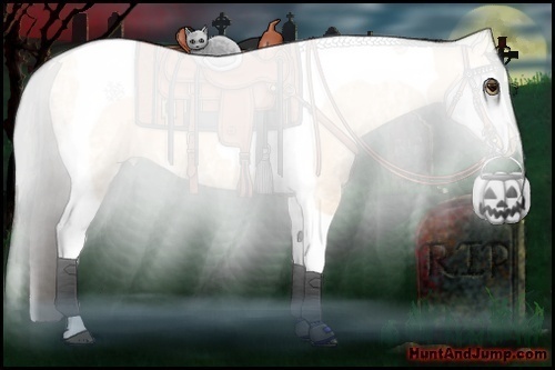Horse Color:Buckskin Ice Tobiano
