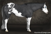 Horse Color:Black Splash Frame Blanket 