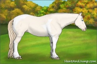 Horse Color:Perlino Dun Tobiano 