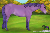 Horse Color:Watercolor Buckskin 