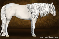 Horse Color:Cremello Dun Tobiano