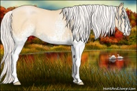 Horse Color:White Spotted Silver Buckskin Pearl 