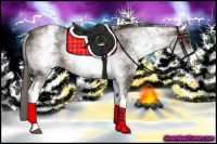 Horse Color:White Spotted Liver Chestnut 
