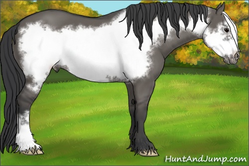 Horse Color: Grullo Frame 