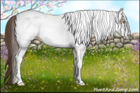 Horse Color:White Spotted Amber Champagne 